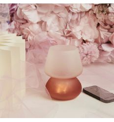 Lampada led rosa piccola con telecomando (cl26184)