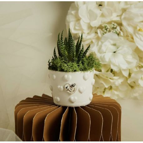 Vasetto cuoricini con applicazione argento con piantina (cl26282)