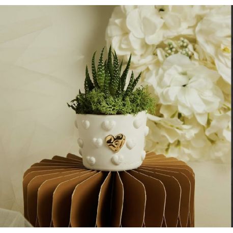 Vasetto cuoricini con applicazione oro con piantina (cl26283)