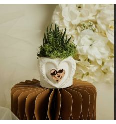 Vasetto cuore con applicazione oro rosa con piantina (cl26284)