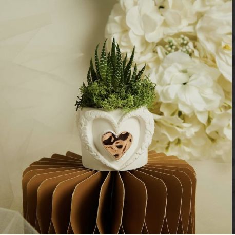 Vasetto cuore con applicazione oro rosa con piantina (cl26284)