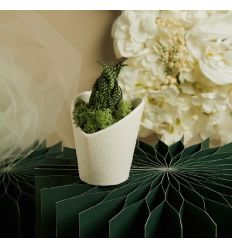 Vasetto bianco cuore con piantina e muschio (cl26011)